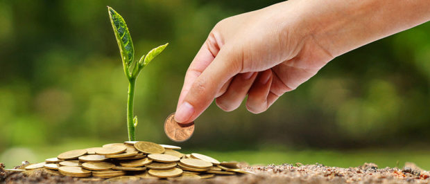 hand reaching to place a coin in a collection of coins forming the base of a growing sapling